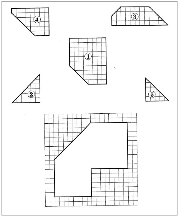 RF06